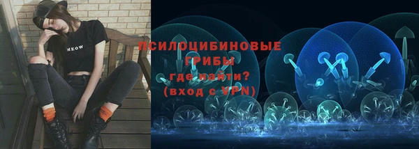 тгк Магас