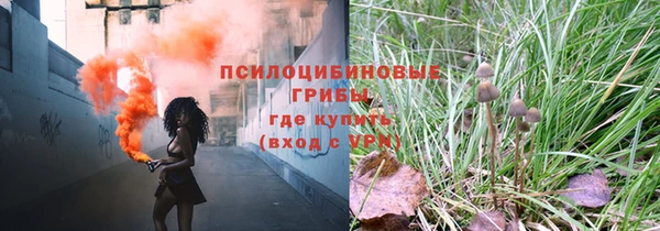 тгк Магас