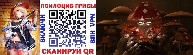 Купить Приволжск Галлюциногенные грибы мицелий